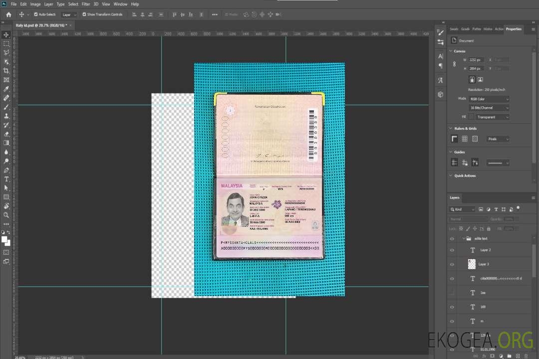 Aperçu photo du passeport malaisien (2010-2017) template